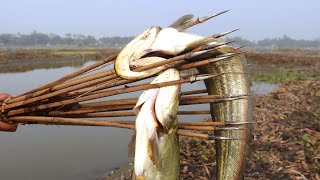 Best Spearfishing video ❤ Primitive village fish trapping by local trap