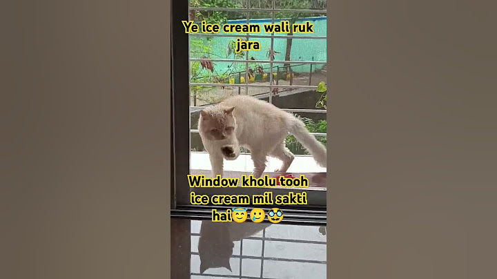 free ki Ice cream wali ruk jara🤣