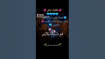 💞 سورة الأنعام الآية (( 14))💞
