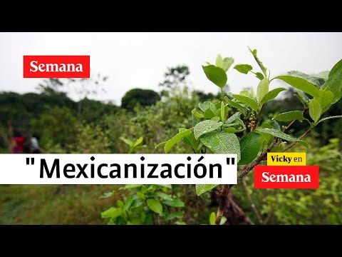 &quot;Es la &#39;mexicanización&#39; de las drogas en América Latina&quot;: Pacho Santos | Vicky en Semana TV