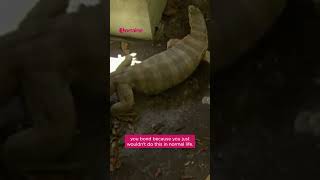 Ashley Roberts talks about missing her I'm a Celebrity jungle family in this throwback moment