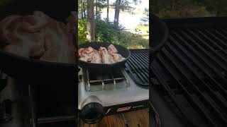 Coleman Grill Stove Review