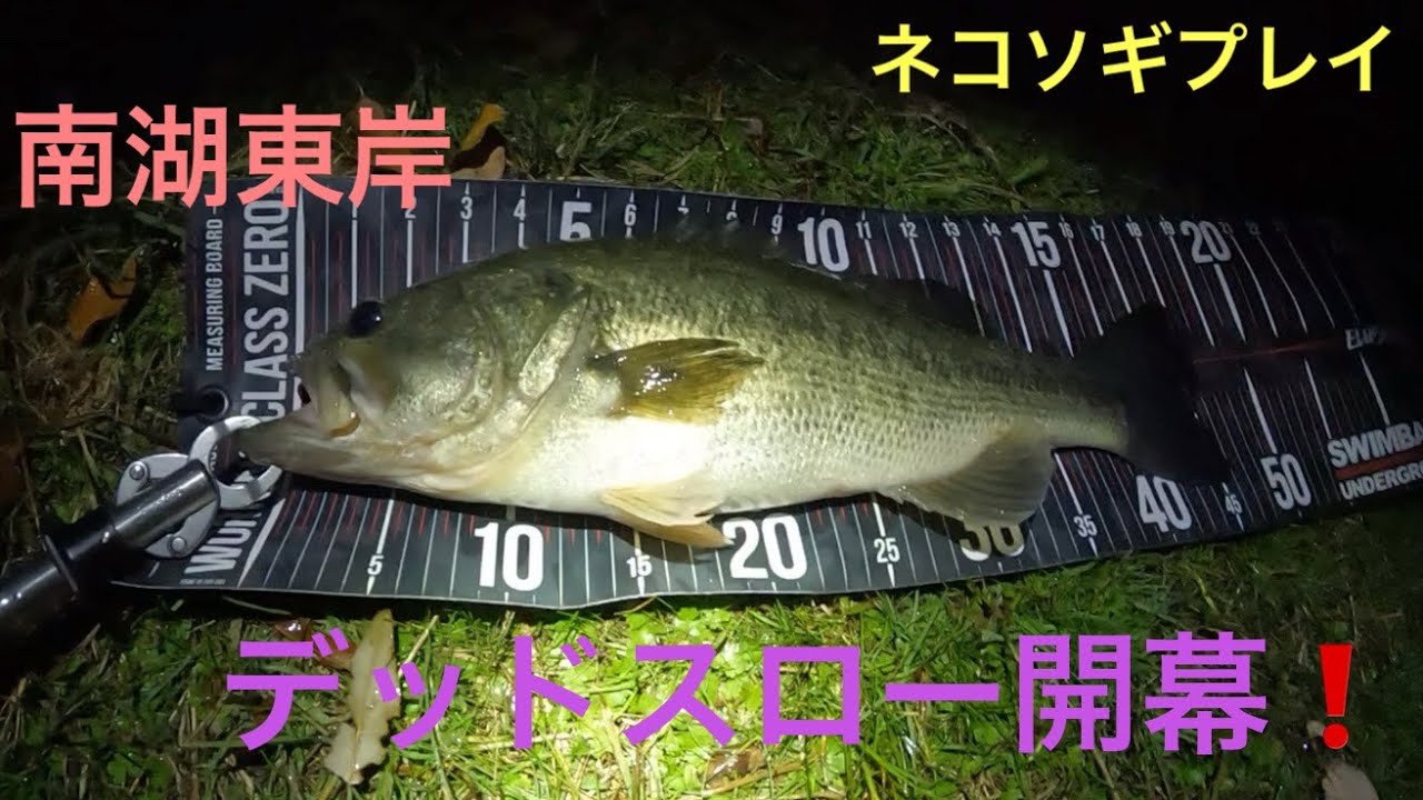 nekosogi DSR スモーキングゴースト ネコソギ　琵琶湖デッドスロー 超人、達人たちの真冬のネコソギデッドスロー開幕🔥 寒さに負け