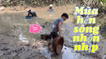 Bắt hến sông ở Bến Tre vui quá / river mussels