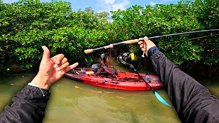 Buscando PESCA entre los Cocodrilos y Manglares