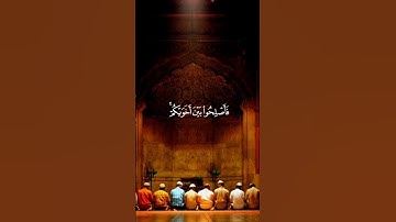 سورة الحجرات - الآية 10
