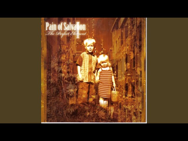 Pain Of Salvation - Used