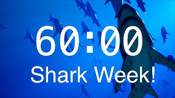 60 Minute Countdown Timer with Alarm | Relaxing Music | Shark Timer