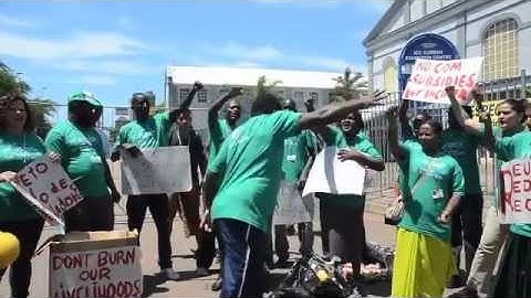 COP17 Durban: While indecision reigned...