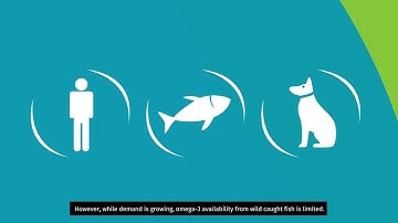 AlgaPrime™ DHA, world’s leading source of algae Omega-3, sustainable, affordable and at scale.