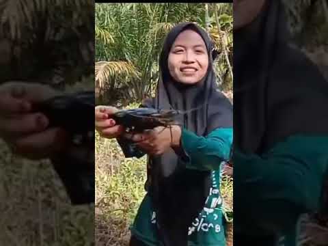 Video: Cara Melukis dengan Pensel Cat Air: 11 Langkah (dengan Gambar)