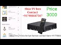 Shia tv box in india