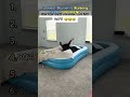Funniest Moments Ranking:PRANK GIRLFRIEND