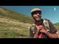 Ariège : Berger face à une ourse et son ourson 🐻