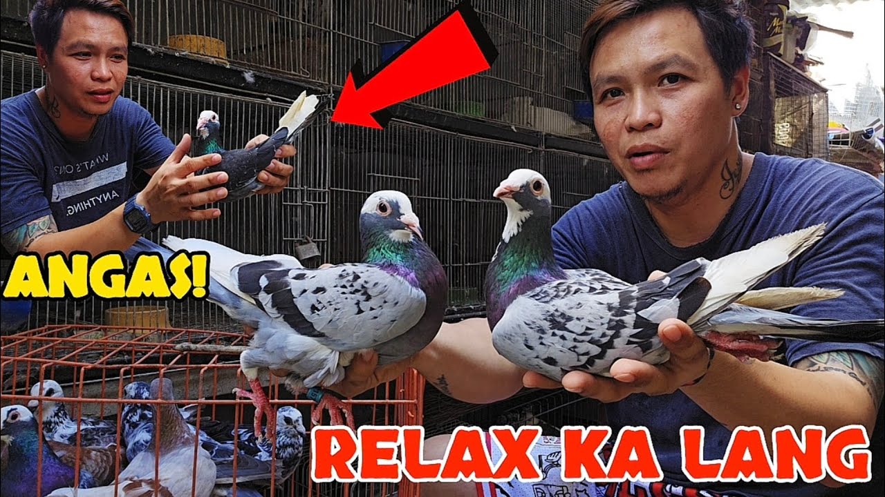 ANG AANGAS NG MGA TO!