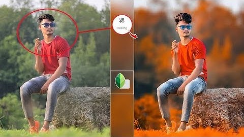 Snapseed background colour change photo editing 2022 | Snapseed new photo editing |