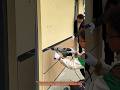 Modern Exterior Wall Panel Installation Process | Fast and Clean Cladding System
