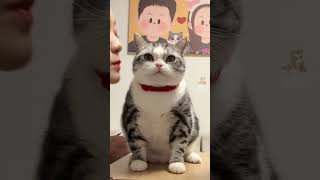 Funny Cute Pet