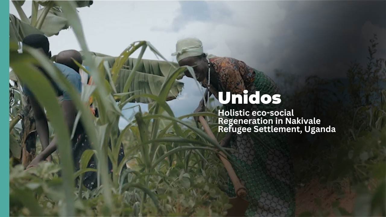 Unidos Social Innovation Centre | Eco-social regeneration in Nakivale Refugee Settlement