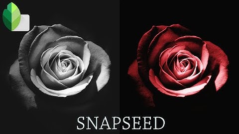 B&W to Color Editing Using SNAPSEED | ANDROID | IPhone
