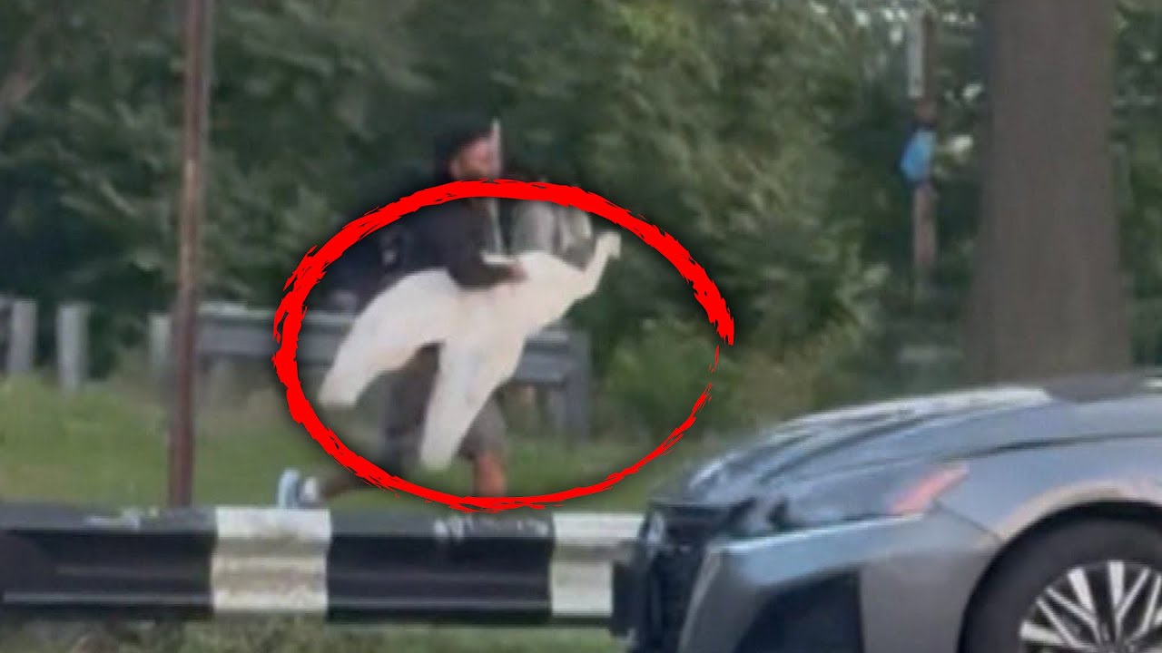 4 Suspects Caught Kidnapping Swan