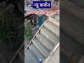 जीना की ढलाई केसे करें -----🛠️🤔#shorts #house #construction