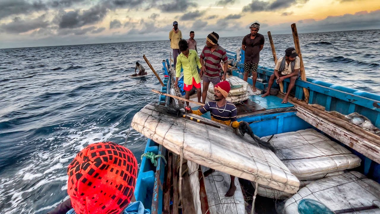 OMG😨!! Deadly Squid Fishing | Extreme Ocean Adventure 🌊 | Squid Fishing | EP-02