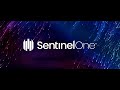 Обзор IPO SentinelOne, Inc. (S)