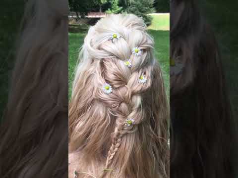 Schnouffe Afghan Hound Hairstyle Youtube