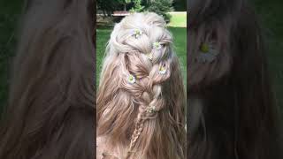 Schnouffe Afghan hound hairstyle