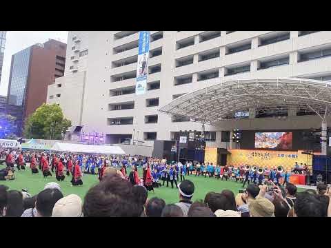 専修大学熊本玉名高等学校 VENTURES 2023どんたくマーチングフェスティバル YouTube