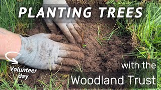 Woodland Trust - Planting trees - Volunteer day