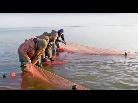 Большая рыба. Часть 2 | С Полем!