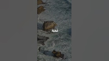تلاوة هادئة للقارئ بدر التركي #قران #راحة_نفسية #اكسبلور #المصحف #قرآن #لايك #بدر_التركي