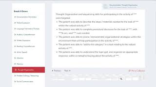 SLP Documentation Slides in the Activity Studio