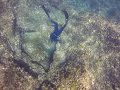 Freediving @ ​Akhziv National Park - Israel - Feb 2017