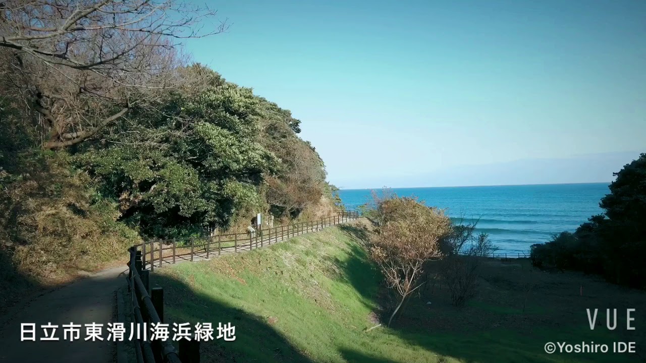 東滑川海浜緑地(ひかりごけ)