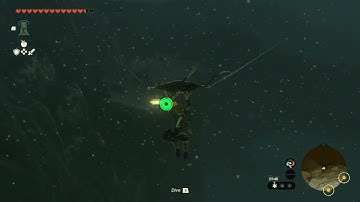 [DAY 583] of finding one korok seed in TotK everyday until we get them all