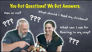 Video Chicken Live: You Got Questions, We Got Answers: 4.15.2022