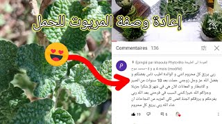 الوصفة التي كانت سبب في ?الحمل بعد 12 سنة بقدرة الله / بنبتة المريوت   (إعادة وصفة الحمل بالتفصيل)