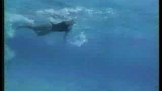 Jaws the Revenge VHS Commercial