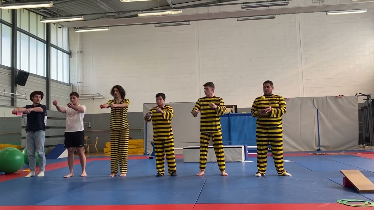 L2 staps «  Lucky Luck et les Dalton »