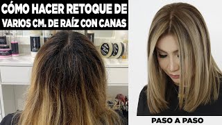 HOW TO TOUCH UP SEVERAL CM OF ROOT WITH GRAY. EASY TECHNIQUE. STEP BY STEP