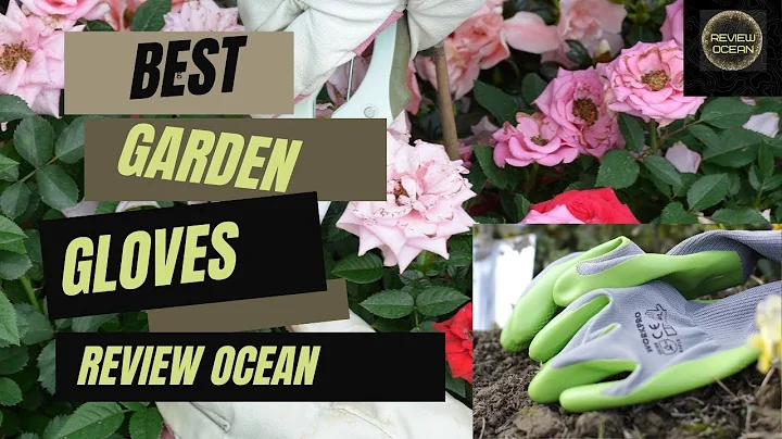 Best Garden Gloves for the money|| (Don't Bye One Before watching)