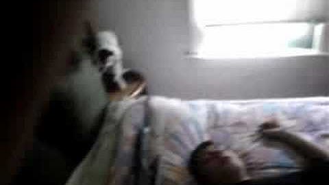 How to kill a zombie