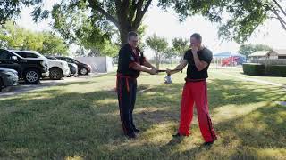 Gm Datu Dieter Knüttel Training Tip Disarming A Stick With The 3Rd Series Or Vine Disarming