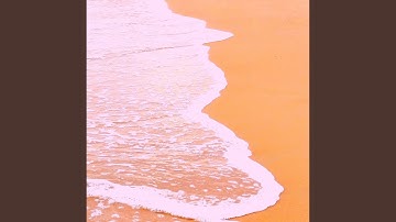 Laid-back Backdrops for Calming Perspectives