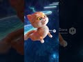 Cat Fantasy World Adventures – Starwind Chrono Carousel Park