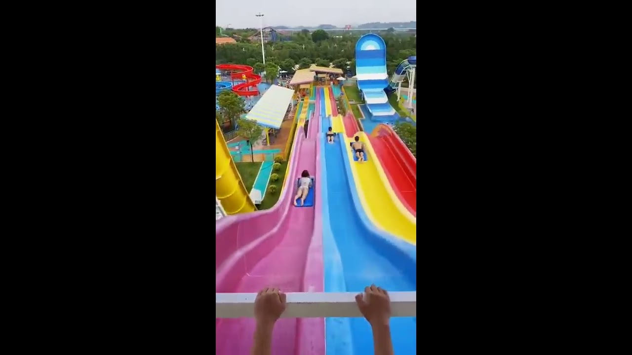 Fun At The Water Park Assument Shorts