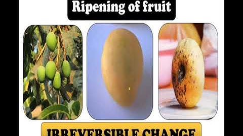 Class 6 science  chapter 6- Changes  around  us ( part- 2) Deepa jose